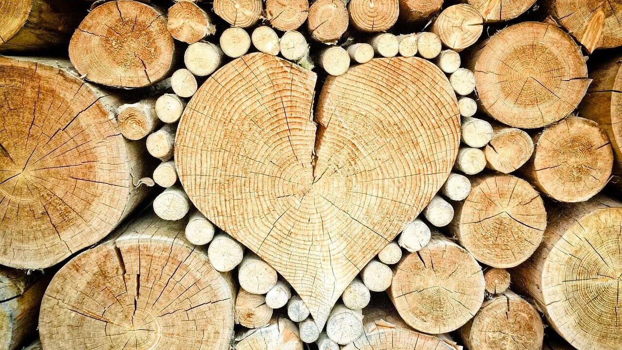 legna-cuore