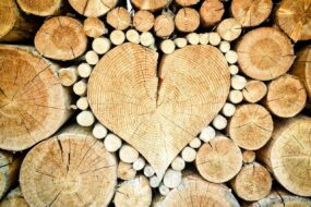 legna-cuore