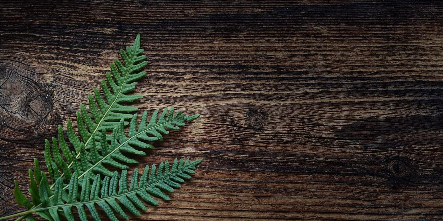 foglia-su-sfondo-legno