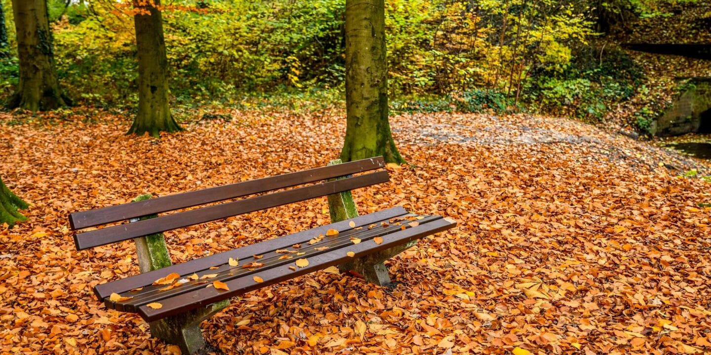 giardino-panchina-foglie-autunno