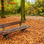 giardino-panchina-foglie-autunno
