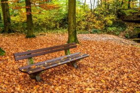 giardino-panchina-foglie-autunno